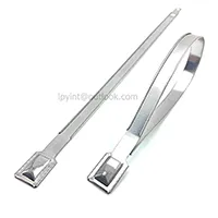 Metal Strap Seal(SL-01T1)