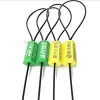 Pull Tight Security Seal(SL-06H1)